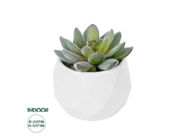 GloboStar® Artificial Garden SUCCULENT SEDEVERIA POTTED PLANT 20987 Διακοσμητικό Φυτό Σεδεβέρια Φ7 x Υ7,5cm GloboStar® Artificial Garden SUCCULENT SEDEVERIA POTTED PLANT 20987 Διακοσμητικό Φυτό Σεδεβέρια Φ7 x Υ7,5cm
