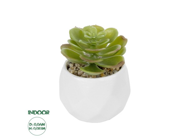 GloboStar® Artificial Garden SUCCULENT ECHEVERIA POTTED PLANT 20991 Διακοσμητικό Φυτό Εχεβέρια Φ6 x Υ8,5cm GloboStar® Artificial Garden SUCCULENT ECHEVERIA POTTED PLANT 20991 Διακοσμητικό Φυτό Εχεβέρια Φ6 x Υ8,5cm