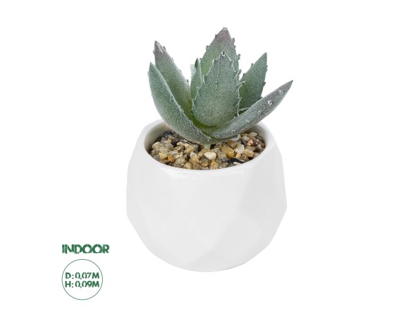 GloboStar® Artificial Garden SUCCULENT ALOE POTTED PLANT 20999 Διακοσμητικό Φυτό Αλόη Φ7 x Υ9cm GloboStar® Artificial Garden SUCCULENT ALOE POTTED PLANT 20999 Διακοσμητικό Φυτό Αλόη Φ7 x Υ9cm