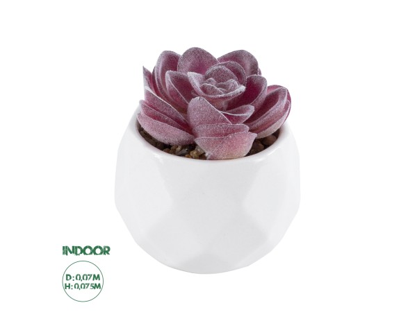 GloboStar® Artificial Garden SUCCULENT ECHEVERIA 21000 Διακοσμητικό Φυτό Παχύφυτο Εχεβέρια Υ7.5cm GloboStar® Artificial Garden SUCCULENT ECHEVERIA 21000 Διακοσμητικό Φυτό Παχύφυτο Εχεβέρια Υ7.5cm