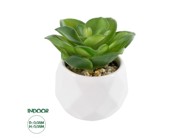 GloboStar® Artificial Garden SUCCULENT ECHEVERIA 21003 Διακοσμητικό Φυτό Παχύφυτο Εχεβέρια Υ8cm