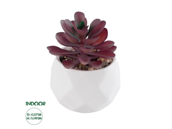 GloboStar® Artificial Garden SUCCULENT CRASSULA 21004 Διακοσμητικό Φυτό Παχύφυτο Κράσουλα Υ9.5cm GloboStar® Artificial Garden SUCCULENT CRASSULA 21004 Διακοσμητικό Φυτό Παχύφυτο Κράσουλα Υ9.5cm