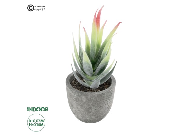 GloboStar® Artificial Garden SUCCULENT ALOE 21009 Διακοσμητικό Φυτό Παχύφυτο Αλόη Υ14cm GloboStar® Artificial Garden SUCCULENT ALOE 21009 Διακοσμητικό Φυτό Παχύφυτο Αλόη Υ14cm