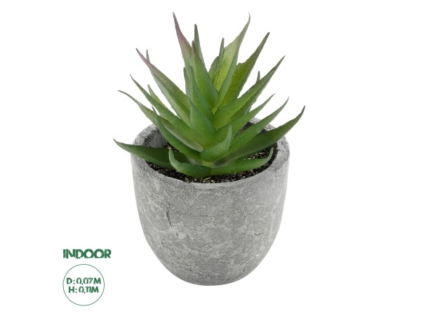 GloboStar® Artificial Garden SUCCULENT ALOE 21010 Διακοσμητικό Φυτό Παχύφυτο Αλόη Υ11cm GloboStar® Artificial Garden SUCCULENT ALOE 21010 Διακοσμητικό Φυτό Παχύφυτο Αλόη Υ11cm