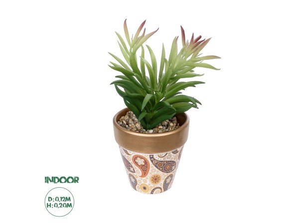 GloboStar® Artificial Garden SUCCULENT CRASSULA POTTED PLANT 21046 Διακοσμητικό Φυτό Κρασούλα Φ12 x Υ20cm GloboStar® Artificial Garden SUCCULENT CRASSULA POTTED PLANT 21046 Διακοσμητικό Φυτό Κρασούλα Φ12 x Υ20cm