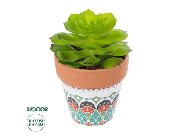 GloboStar® Artificial Garden SUCCULENT ECHEVERIA 21049 Διακοσμητικό Φυτό Παχύφυτο Εχεβέρια Υ14cm GloboStar® Artificial Garden SUCCULENT ECHEVERIA 21049 Διακοσμητικό Φυτό Παχύφυτο Εχεβέρια Υ14cm