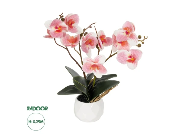 GloboStar® Artificial Garden PINK ORCHID 21075 Διακοσμητικό Φυτό Ροζ Ορχιδέα  Υ30cm
