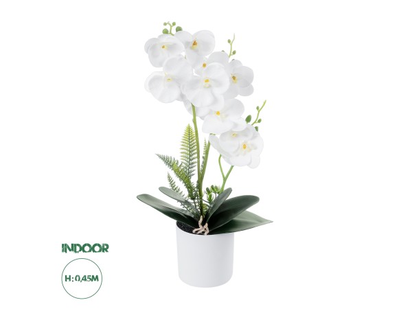 GloboStar® Artificial Garden WHITE ORCHID 21076 Διακοσμητικό Φυτό Λευκή Ορχιδέα Υ45cm GloboStar® Artificial Garden WHITE ORCHID 21076 Διακοσμητικό Φυτό Λευκή Ορχιδέα Υ45cm
