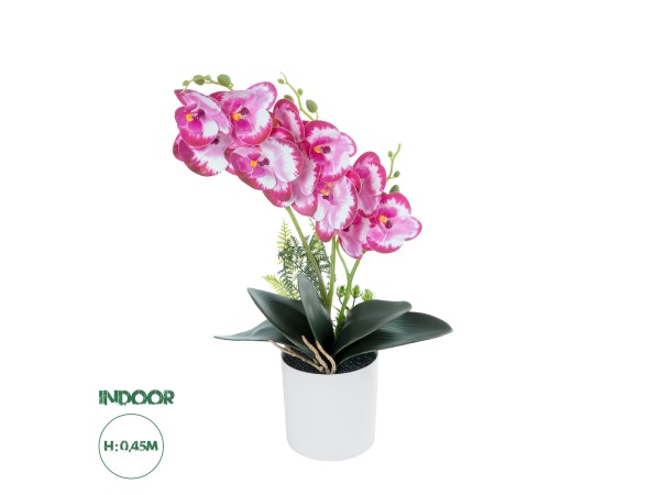 GloboStar® Artificial Garden PINK + FUCHSIA ORCHID 21079 Διακοσμητικό Φυτό Ροζ - Φούξια Ορχιδέα Υ45cm GloboStar® Artificial Garden PINK + FUCHSIA ORCHID 21079 Διακοσμητικό Φυτό Ροζ - Φούξια Ορχιδέα Υ45cm