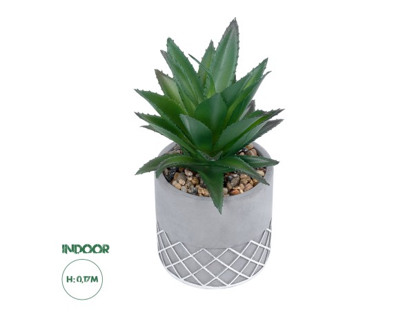 GloboStar® Artificial Garden SUCCULENT ALOE 21096 Διακοσμητικό Φυτό Παχύφυτο Αλόη Υ17cm GloboStar® Artificial Garden SUCCULENT ALOE 21096 Διακοσμητικό Φυτό Παχύφυτο Αλόη Υ17cm