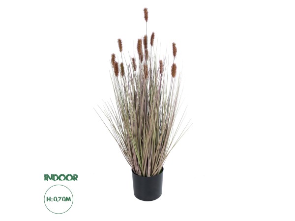GloboStar® Artificial Garden BROWN LAGURUS 21099 Διακοσμητικό Φυτό Καφέ Λαγοουρά Υ70cm GloboStar® Artificial Garden BROWN LAGURUS 21099 Διακοσμητικό Φυτό Καφέ Λαγοουρά Υ70cm