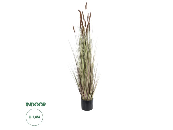 GloboStar® Artificial Garden BROWN LAGURUS 21101 Διακοσμητικό Φυτό Καφέ Λαγοουρά Υ140cm