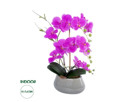 GloboStar® Artificial Garden HOT PINK ORCHID 21119 Διακοσμητικό Φυτό  Έντονο Ροζ Ορχιδέα Υ43cm