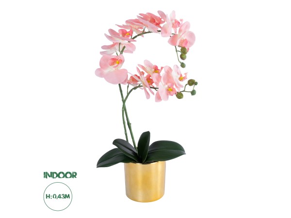 GloboStar® Artificial Garden SALMON PINK ORCHID 21129 Διακοσμητικό Φυτό Φούξια Ορχιδέα Υ43cm GloboStar® Artificial Garden SALMON PINK ORCHID 21129 Διακοσμητικό Φυτό Φούξια Ορχιδέα Υ43cm