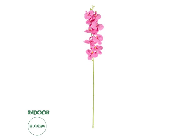 GloboStar® Artificial Garden PINK ORCHID BRANCH 21131 Τεχνητό Διακοσμητικό Κλαδί Ορχιδέας Y85cm GloboStar® Artificial Garden PINK ORCHID BRANCH 21131 Τεχνητό Διακοσμητικό Κλαδί Ορχιδέας Y85cm
