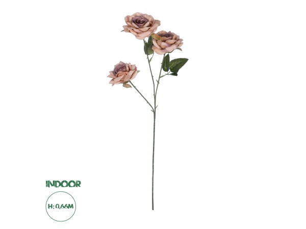 GloboStar® Artificial Garden OLD PINK CLIMBING ROSE BRANCH 21190 Τεχνητό Διακοσμητικό Κλαδί Τριαντάφυλλο Ξεθωριασμένο Ροζ Y66cm GloboStar® Artificial Garden OLD PINK CLIMBING ROSE BRANCH 21190 Τεχνητό Διακοσμητικό Κλαδί Τριαντάφυλλο Ξεθωριασμένο Ροζ Y66cm