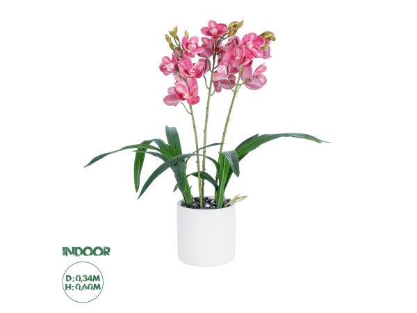 GloboStar® Artificial Garden PINK CHERRY CYMBIDIUM 21402 Διακοσμητικό Φυτό Φούξια Κυμβίδιο Υ60cm GloboStar® Artificial Garden PINK CHERRY CYMBIDIUM 21402 Διακοσμητικό Φυτό Φούξια Κυμβίδιο Υ60cm