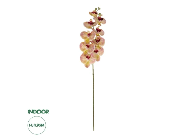 GloboStar® Artificial Garden PING SALMON ORCHID BRANCH 21405 Τεχνητό Διακοσμητικό Κλαδί Ροζ Ορχιδέα Y95cm GloboStar® Artificial Garden PING SALMON ORCHID BRANCH 21405 Τεχνητό Διακοσμητικό Κλαδί Ροζ Ορχιδέα Y95cm