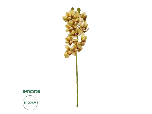 GloboStar® Artificial Garden CHAMPAGNE CYMBIDIUM BRANCH 21408 Τεχνητό Διακοσμητικό Κλαδί Σαμπανί Κυμβίδιο Y75cm GloboStar® Artificial Garden CHAMPAGNE CYMBIDIUM BRANCH 21408 Τεχνητό Διακοσμητικό Κλαδί Σαμπανί Κυμβίδιο Y75cm