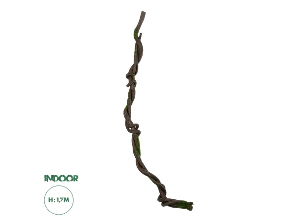 GloboStar® Artificial Garden VINE BRANCH 21465 Τεχνητό Διακοσμητικό Κλαδί Αμπελιού Y170cm