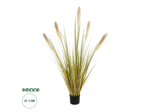 GloboStar® Artificial Garden PAMPAS GRASS 21478 Τεχνητό Διακοσμητικό Φυτό Μπεζ & Πράσινο Πάμπας Μ90 x Π40 x Υ150cm GloboStar® Artificial Garden PAMPAS GRASS 21478 Τεχνητό Διακοσμητικό Φυτό Μπεζ & Πράσινο Πάμπας Μ90 x Π40 x Υ150cm