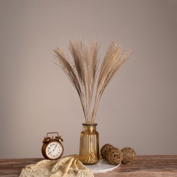 GLOBOSTAR® MISCANTHUS 36535 Αποξηραμένο Διακοσμητικό Μπουκέτο Μίσχανθος - Μπεζ - Μ20 x Π20 x Υ60cm - Πακέτο 20 Τεμαχίων