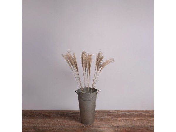 GLOBOSTAR® MISCANTHUS 36537 Αποξηραμένο Διακοσμητικό Μπουκέτο Μίσχανθος - Μπεζ - Μ20 x Π20 x Υ100cm - Πακέτο 20 Τεμαχίων