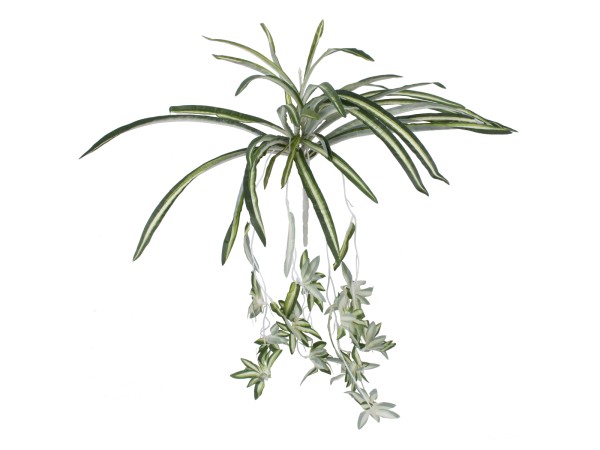 GloboStar® SPIDER PLANT 78217 Τεχνητό Φυτό Χλωρόφυτο - Μπουκέτο Διακοσμητικών Φυτών - Κλαδιών με Φύλλωμα Πράσινο - Κίτρινο - Λευκό Υ60cm GloboStar® SPIDER PLANT 78217 Τεχνητό Φυτό Χλωρόφυτο - Μπουκέτο Διακοσμητικών Φυτών - Κλαδιών με Φύλλωμα Πράσινο - Κίτρινο - Λευκό Υ60cm