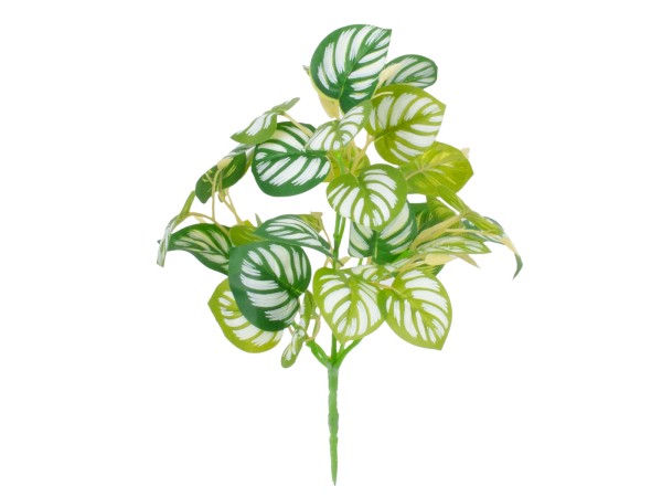 GloboStar® PEPEROMIA L.GREEN 78220 Τεχνητό Φυτό Πεπερόμια Αν.Πρ. - Μπουκέτο Διακοσμητικών Φυτών - Κλαδιών με Φύλλωμα Πράσινο - Κίτρινο - Λευκό Υ28cm GloboStar® PEPEROMIA L.GREEN 78220 Τεχνητό Φυτό Πεπερόμια Αν.Πρ. - Μπουκέτο Διακοσμητικών Φυτών - Κλαδιών με Φύλλωμα Πράσινο - Κίτρινο - Λευκό Υ28cm
