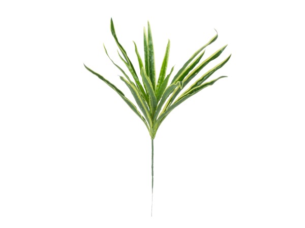 GloboStar® GREEN DRACAENA 78233 Τεχνητό Φυτό Δράκαινα Πράσινη - Μπουκέτο Διακοσμητικών Φυτών - Κλαδιών με Φύλλωμα Πράσινο Υ47cm GloboStar® GREEN DRACAENA 78233 Τεχνητό Φυτό Δράκαινα Πράσινη - Μπουκέτο Διακοσμητικών Φυτών - Κλαδιών με Φύλλωμα Πράσινο Υ47cm