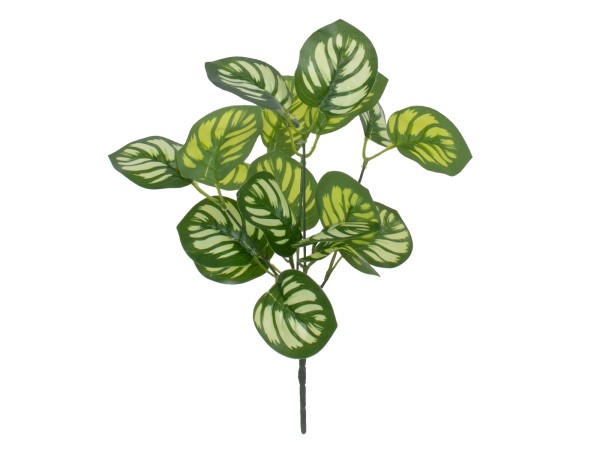 GloboStar® GREEN PEPEROMIA 78286 Τεχνητό Φυτό Πεπερόμια Πράσινη - Μπουκέτο Διακοσμητικών Φυτών - Κλαδιών με Φύλλωμα Πράσινο - Λευκό Υ33cm GloboStar® GREEN PEPEROMIA 78286 Τεχνητό Φυτό Πεπερόμια Πράσινη - Μπουκέτο Διακοσμητικών Φυτών - Κλαδιών με Φύλλωμα Πράσινο - Λευκό Υ33cm