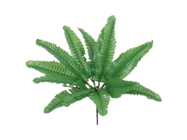 GloboStar® BOSTON FERN SMALL 78291 Τεχνητό Φυτό Φτέρη Βοστώνης Μικρή - Μπουκέτο Διακοσμητικών Φυτών - Κλαδιών με Φύλλωμα Πράσινο Υ30cm GloboStar® BOSTON FERN SMALL 78291 Τεχνητό Φυτό Φτέρη Βοστώνης Μικρή - Μπουκέτο Διακοσμητικών Φυτών - Κλαδιών με Φύλλωμα Πράσινο Υ30cm