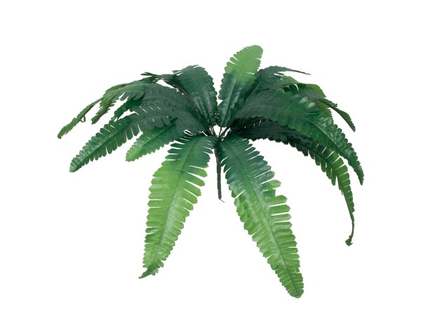 GloboStar® BOSTON FERN BIG 78292 Τεχνητό Φυτό Φτέρη Βοστώνης Μεγάλη - Μπουκέτο Διακοσμητικών Φυτών - Κλαδιών με Φύλλωμα Πράσινο Υ52cm GloboStar® BOSTON FERN BIG 78292 Τεχνητό Φυτό Φτέρη Βοστώνης Μεγάλη - Μπουκέτο Διακοσμητικών Φυτών - Κλαδιών με Φύλλωμα Πράσινο Υ52cm