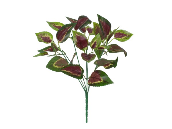GloboStar® AMARANTHUS TRICOLOR 78296 Τεχνητό Φυτό Αμάραντος Τρίχρωμος - Μπουκέτο Διακοσμητικών Φυτών - Κλαδιών με Φύλλωμα Πράσινο - Κόκκινο - Κίτρινο Υ34cm GloboStar® AMARANTHUS TRICOLOR 78296 Τεχνητό Φυτό Αμάραντος Τρίχρωμος - Μπουκέτο Διακοσμητικών Φυτών - Κλαδιών με Φύλλωμα Πράσινο - Κόκκινο - Κίτρινο Υ34cm