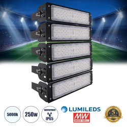 GLOBOSTAR® GOLIATH 90100-5 Προβολέας για Γήπεδα Tennis & Ποδοσφαίρου 5x5 LED 250W 37500lm 75°x135° SDCM<5 Fish Eye Lens AC 220-240V Αδιάβροχο IP65 IK08 Φυσικό Λευκό 5000K - Lumileds SMD Chip & Mean Well Driver - Μαύρο Ματ - Μ32 x Π12 x Υ45cm - 5 Χρόνια Εγ