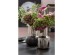 Βάζο Vesuv Μαύρο 26x26x42εκ. - Μαύρο Βάζο Vesuv Μαύρο 26x26x42εκ. - Μαύρο