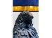 Φωτιστικό Επιτραπέζιο Parrot Μπλε 35x35x83,5 εκ. Ε27 - Μπλε