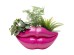 Κασπώ Lips Ροζ 57,5x31x28 εκ. - Ροζ Κασπώ Lips Ροζ 57,5x31x28 εκ. - Ροζ
