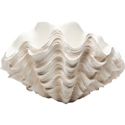 Deco Vase Concha 29cm - Λευκό