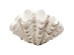 Deco Vase Concha 29cm - Λευκό Deco Vase Concha 29cm - Λευκό