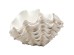 Deco Vase Concha 29cm - Λευκό Deco Vase Concha 29cm - Λευκό