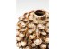 Βάζο Corallo Πορσελάνη Καφέ 36x24x24εκ. - Καφέ Βάζο Corallo Πορσελάνη Καφέ 36x24x24εκ. - Καφέ