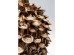Βάζο Corallo Πορσελάνη Καφέ 36x24x24εκ. - Καφέ Βάζο Corallo Πορσελάνη Καφέ 36x24x24εκ. - Καφέ