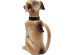 Καράφα Σκύλος Funny Pet Dog 32*23*12.5εκ. - Καφέ Καράφα Σκύλος Funny Pet Dog 32*23*12.5εκ. - Καφέ