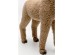 Διακοσμητικό Επιτραπέζιο Happy Alpaca Καφέ 38*26*9.2εκ. - Καφέ Διακοσμητικό Επιτραπέζιο Happy Alpaca Καφέ 38*26*9.2εκ. - Καφέ