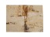 Χαλί Dust Ύφασμα Μπεζ 170x240εκ. - Μπεζ