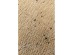 Χαλί Dust Ύφασμα Μπεζ 170x240εκ. - Μπεζ
