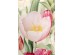 Cushion Tulips 45x45cm - Πολύχρωμο Cushion Tulips 45x45cm - Πολύχρωμο