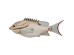 Διακοσμητικό Τοίχου Fishy Μπεζ 40*4*15εκ. - Μπεζ Διακοσμητικό Τοίχου Fishy Μπεζ 40*4*15εκ. - Μπεζ