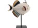 Διακοσμητικό Επιτραπέζιο Fishy Κεραμικό Μπεζ 26*10*30εκ. - Μπεζ Διακοσμητικό Επιτραπέζιο Fishy Κεραμικό Μπεζ 26*10*30εκ. - Μπεζ